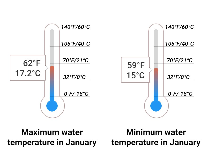 Average Sea temperature